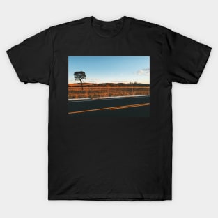 Lonely Tree in Beautiful Landscape at Sunset T-Shirt